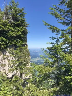KAC Gaissau Kräuterwanderung 2019 06 29 12 45 34  4705